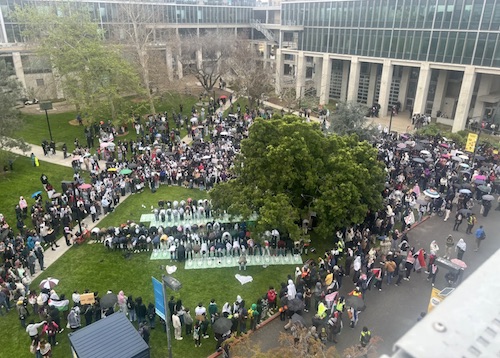 Figure 1: March 6 March and Rally for Gaza. Image credit: Cydney Macon/The Triton [40]