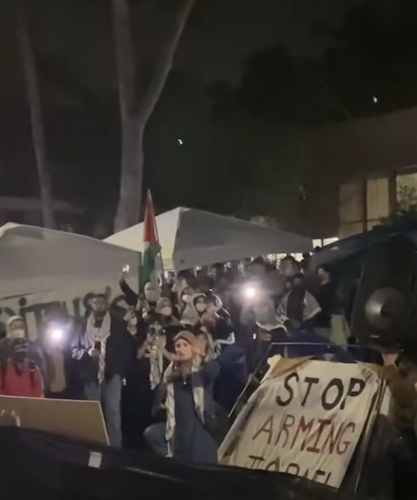 Figure 8: Linda Sarsour. Image credit: Screen grab from Students for Justice in Palestine at UC San Diego [68]