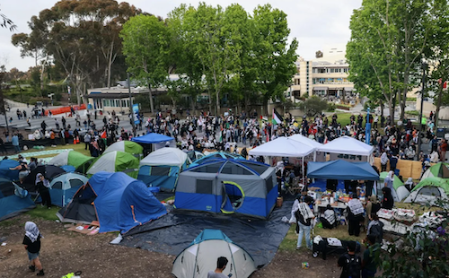 Figure 12: Food tent (bottom-right) at the Encampment on May 1. Image credit: Adrian Childress, Times of San Diego [83]