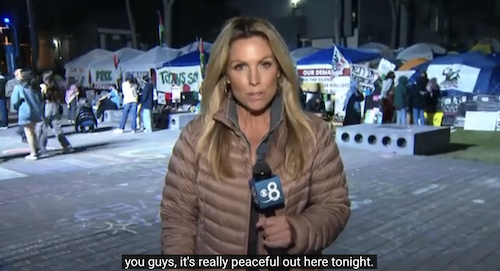 Figure 20: Image credit: CBS 8 San Diego video screen grab [84]