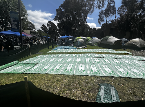 Figure 22: Prayer mats at north side of Encampment on May 1. Image credit: Anonymous