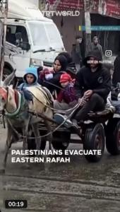 Families Fleeing Rafah in Advance of IOF Ground Assault