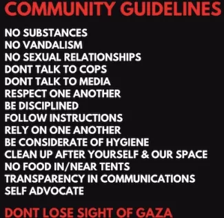 Image credit: Students of Justice in Palestine at UC San Diego